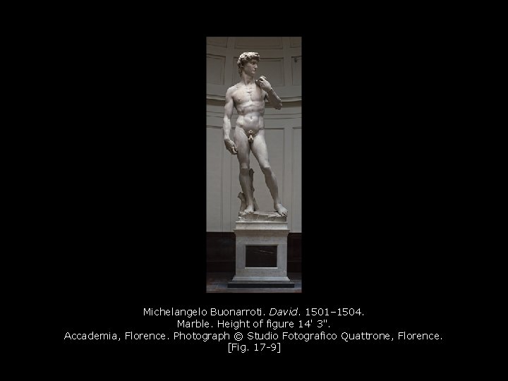 Michelangelo Buonarroti. David. 1501– 1504. Marble. Height of figure 14' 3". Accademia, Florence. Photograph