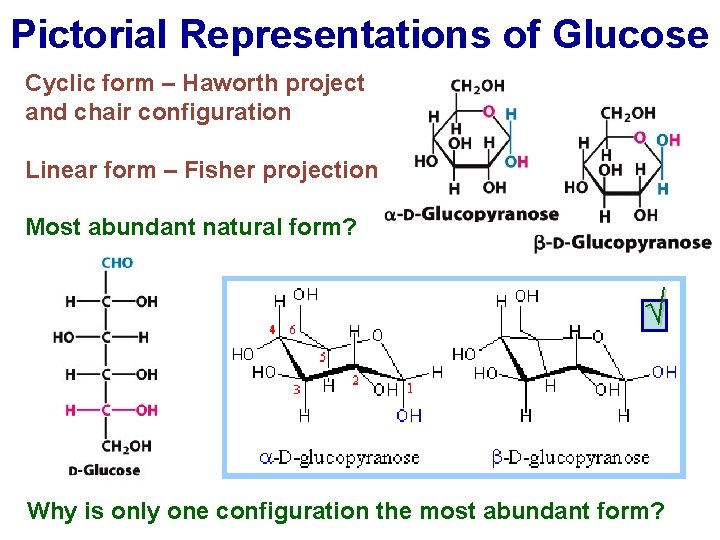 Pictorial Representations of Glucose Cyclic form – Haworth project and chair configuration Linear form