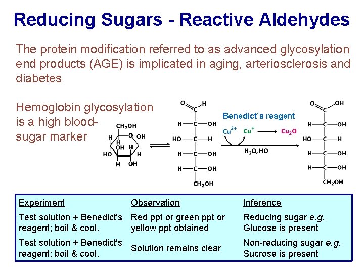 Reducing Sugars - Reactive Aldehydes The protein modification referred to as advanced glycosylation end