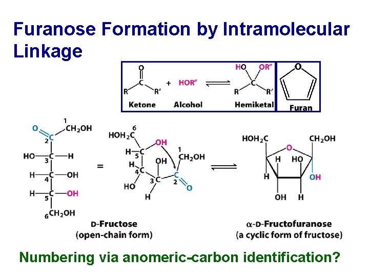 Furanose Formation by Intramolecular Linkage Numbering via anomeric-carbon identification? 
