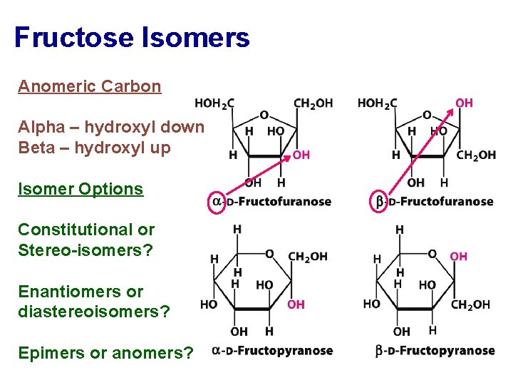 Fructose Isomers Anomeric Carbon Alpha – hydroxyl down Beta – hydroxyl up Isomer Options