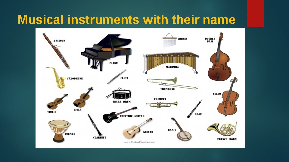 Musical instruments with their name 