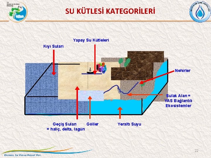 SU KÜTLESİ KATEGORİLERİ Yapay Su Kütleleri Kıyı Suları Nehirler Sulak Alan = YAS Bağlantılı