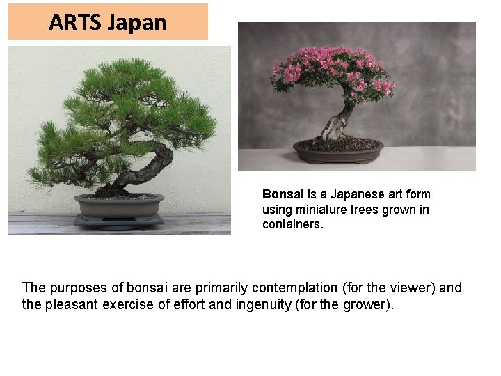 ARTS Japan Bonsai is a Japanese art form using miniature trees grown in containers.
