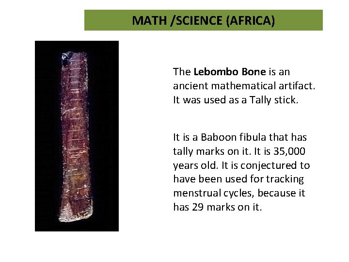 MATH /SCIENCE (AFRICA) The Lebombo Bone is an ancient mathematical artifact. It was used