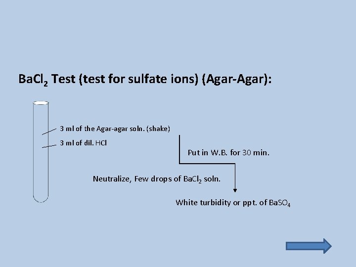 Ba. Cl 2 Test (test for sulfate ions) (Agar-Agar): 3 ml of the Agar-agar