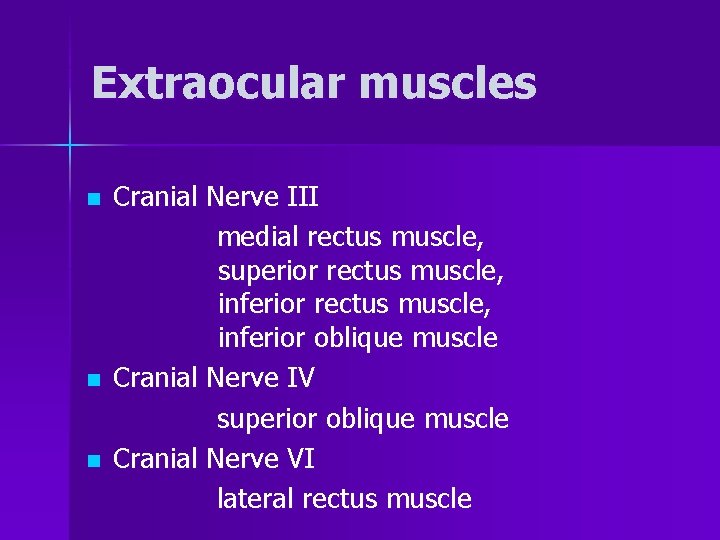 Extraocular muscles n n n Cranial Nerve III medial rectus muscle, superior rectus muscle,