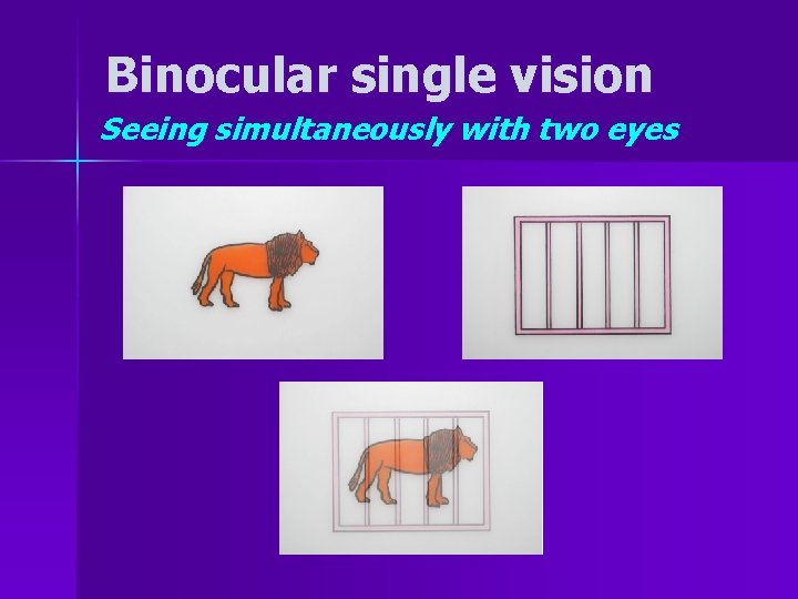 Binocular single vision Seeing simultaneously with two eyes 