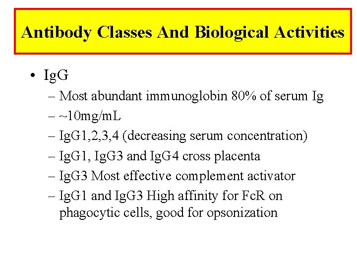 Antibody Classes And Biological Activities • Ig. G – Most abundant immunoglobin 80% of