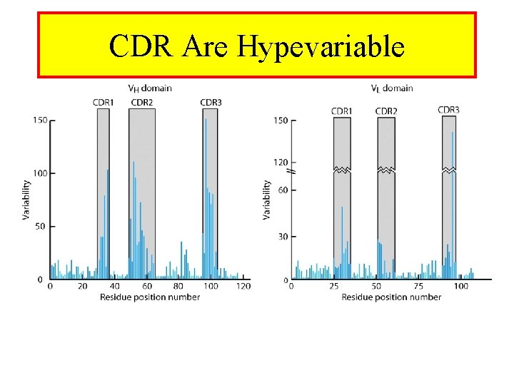 CDR Are Hypevariable 