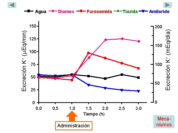 Diamox Furosemida Tiazida Excreción K+ ( Eq/min) 150 Amiloride 200 125 150 100 75