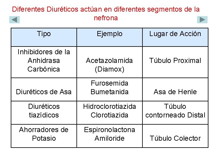 Diferentes Diuréticos actúan en diferentes segmentos de la nefrona Tipo Ejemplo Lugar de Acción