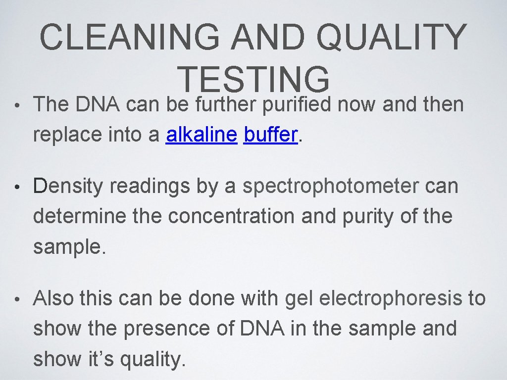 CLEANING AND QUALITY TESTING • The DNA can be further purified now and then