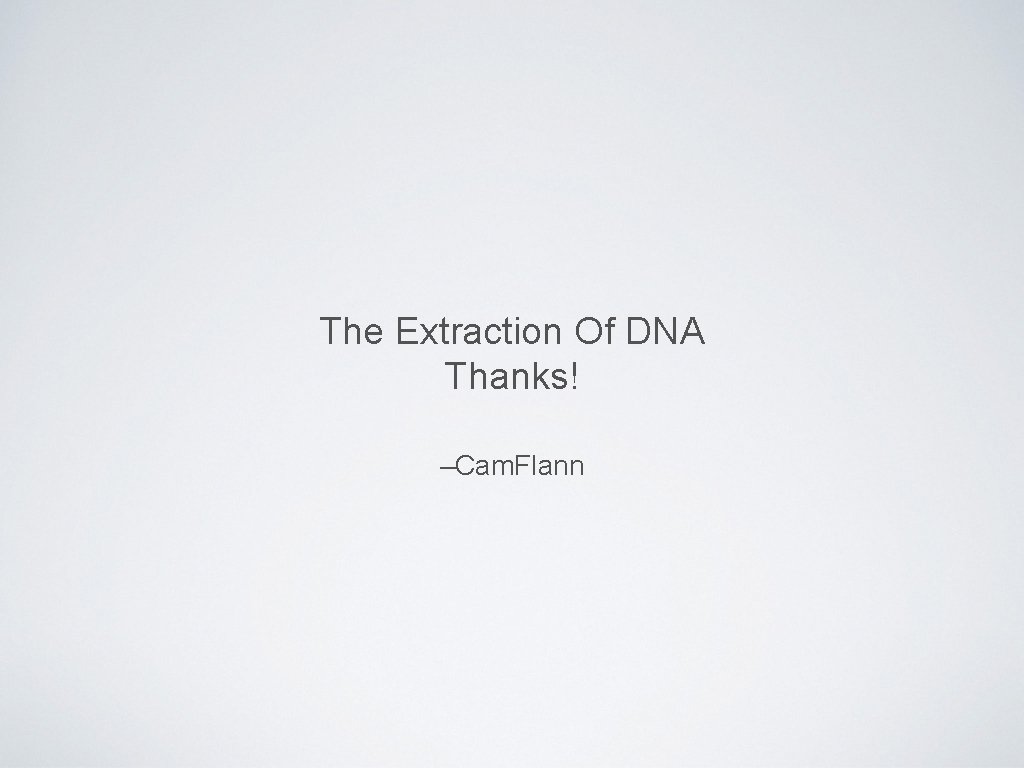 The Extraction Of DNA Thanks! –Cam. Flann 