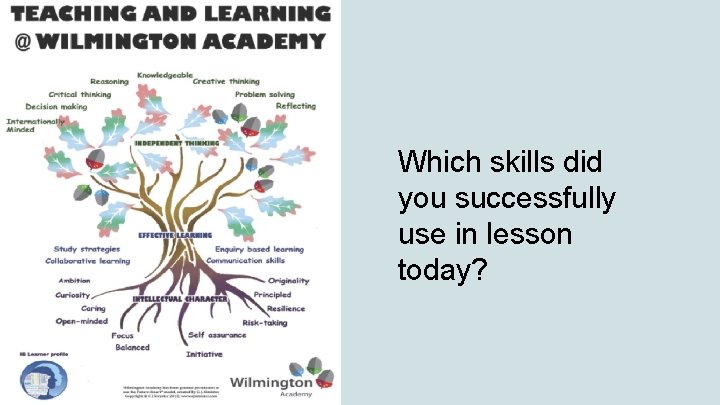 Which skills did you successfully use in lesson today? 