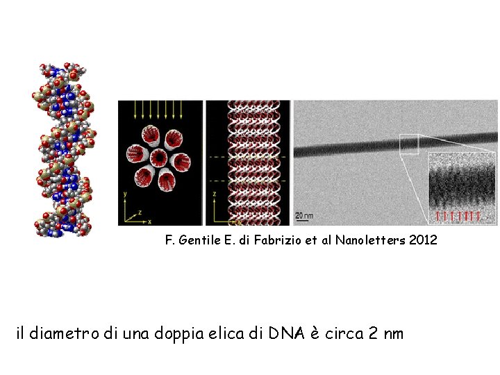 F. Gentile E. di Fabrizio et al Nanoletters 2012 il diametro di una doppia