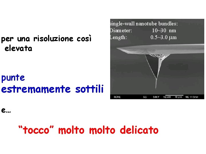 per una risoluzione così elevata single-wall nanotube bundles: Diameter: 10~30 nm Length: 0. 5~3.