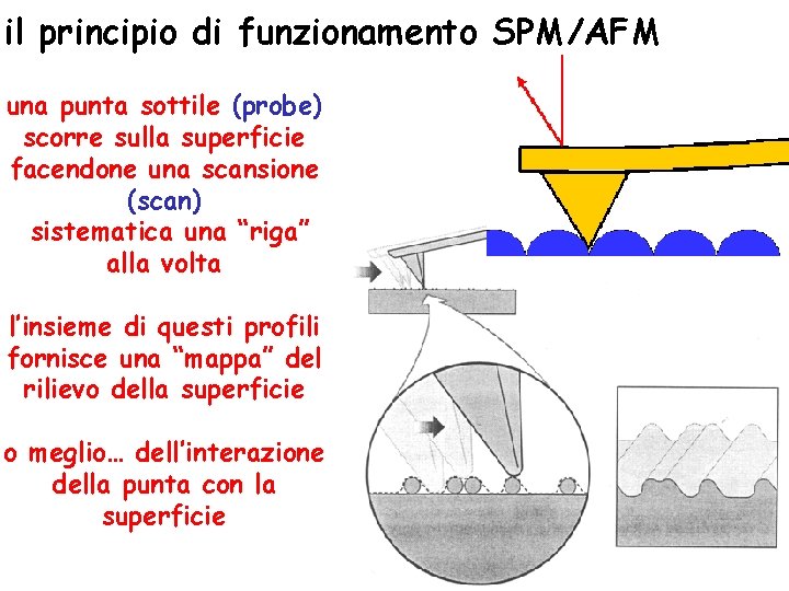 il principio di funzionamento SPM/AFM una punta sottile (probe) scorre sulla superficie facendone una