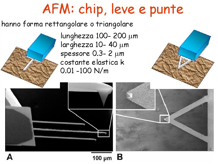 AFM: chip, leve e punte hanno forma rettangolare o triangolare lunghezza 100 - 200