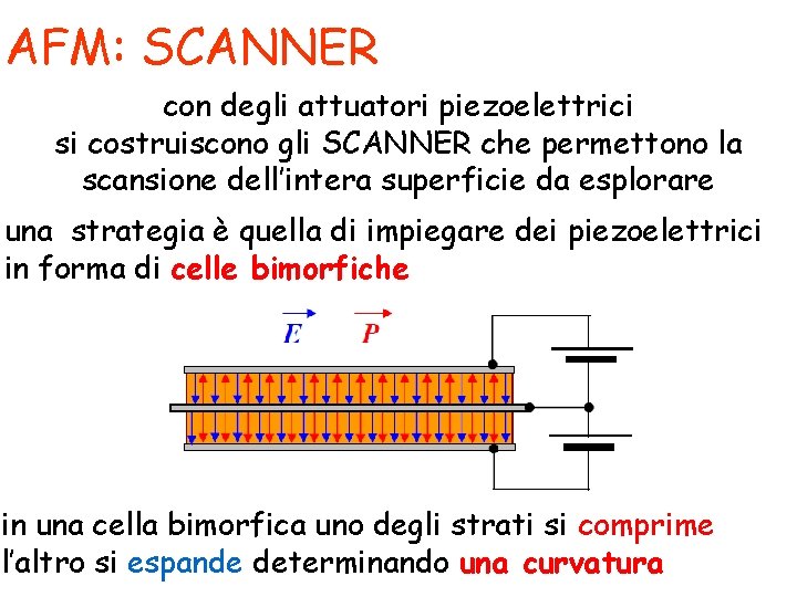 AFM: SCANNER con degli attuatori piezoelettrici si costruiscono gli SCANNER che permettono la scansione