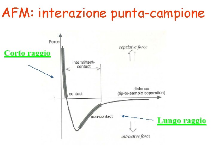 AFM: interazione punta-campione 