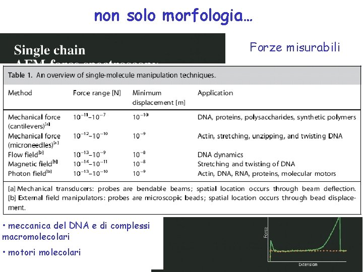 non solo morfologia… Forze misurabili 10 -11 – 10 – 7 N Spostamento minimo