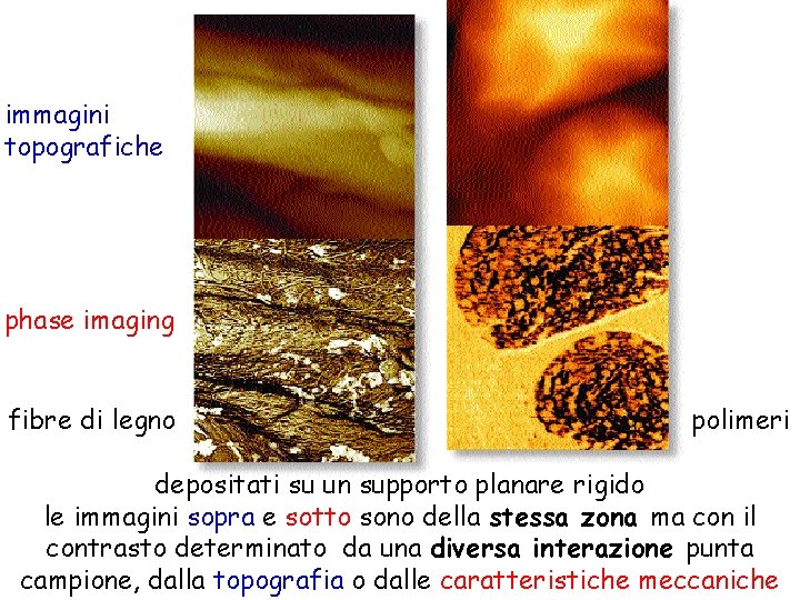 immagini topografiche phase imaging fibre di legno polimeri depositati su un supporto planare rigido