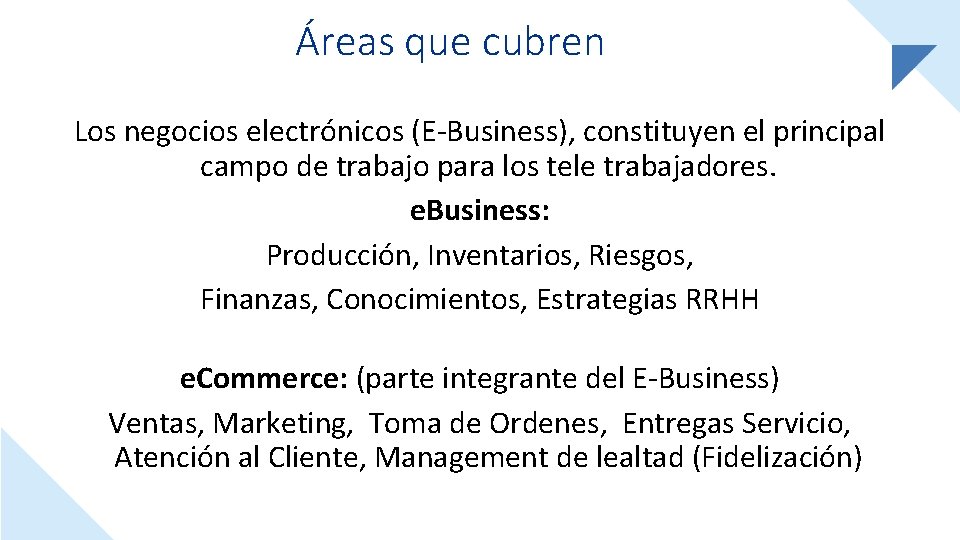 Áreas que cubren Los negocios electrónicos (E-Business), constituyen el principal campo de trabajo para