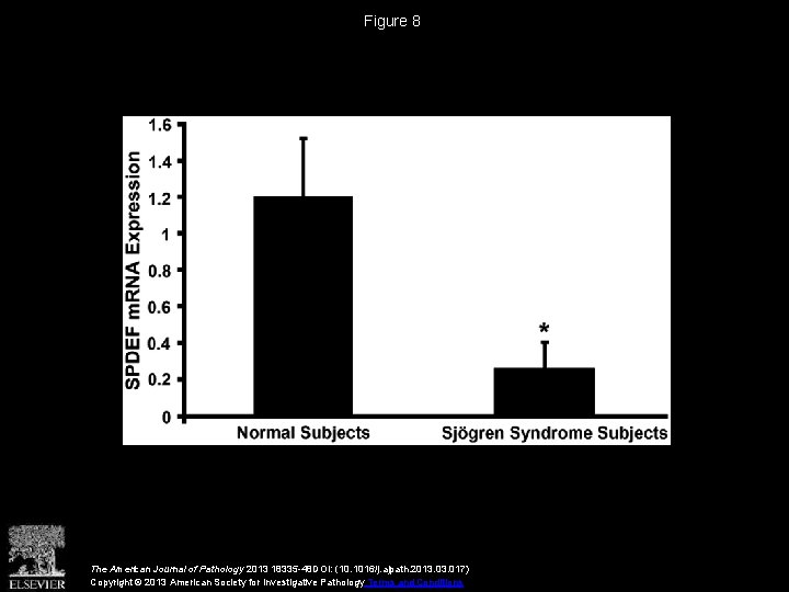 Figure 8 The American Journal of Pathology 2013 18335 -48 DOI: (10. 1016/j. ajpath.