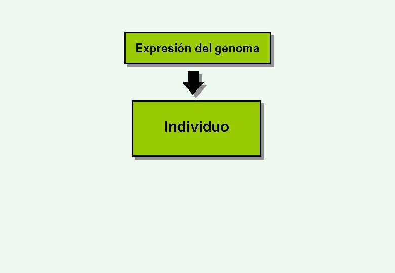 Expresión del genoma Individuo 