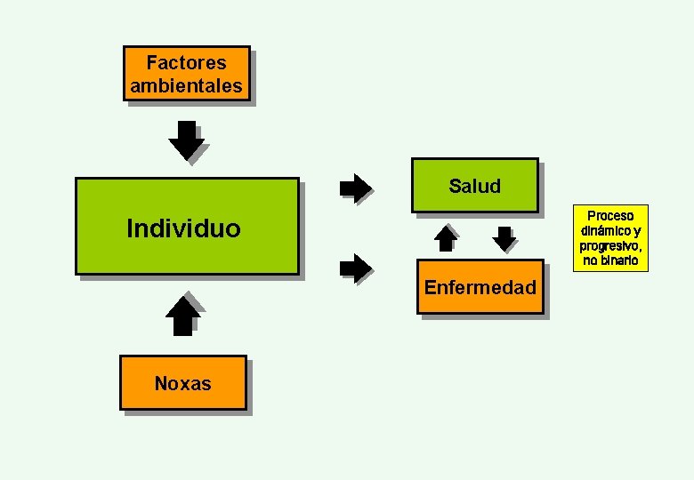 Factores ambientales Salud Proceso dinámico y progresivo, no binario Individuo Enfermedad Noxas 