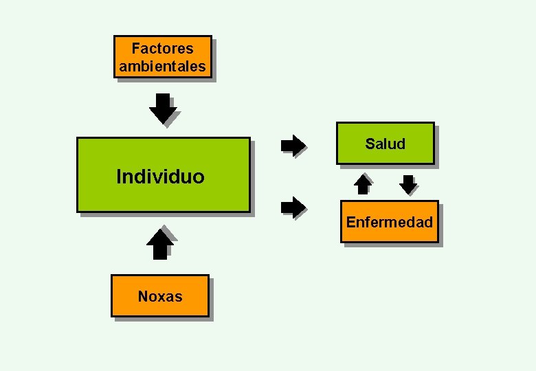 Factores ambientales Salud Individuo Enfermedad Noxas 