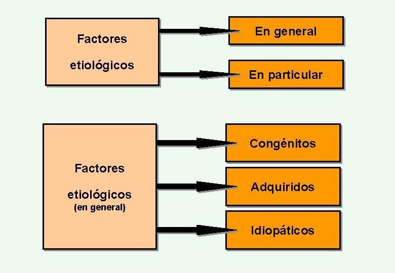 Factores etiológicos En general En particular Congénitos Factores etiológicos Adquiridos (en general) Idiopáticos 