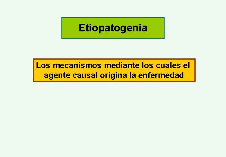 Etiopatogenia Los mecanismos mediante los cuales el agente causal origina la enfermedad 