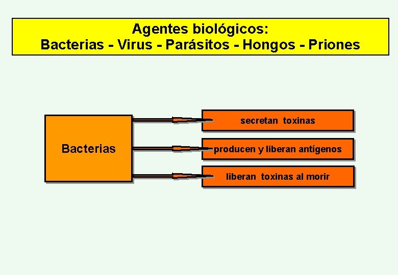 Agentes biológicos: Bacterias - Virus - Parásitos - Hongos - Priones secretan toxinas Bacterias