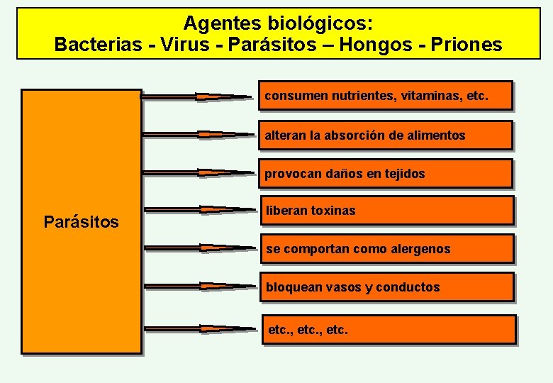 Agentes biológicos: Bacterias - Virus - Parásitos – Hongos - Priones consumen nutrientes, vitaminas,