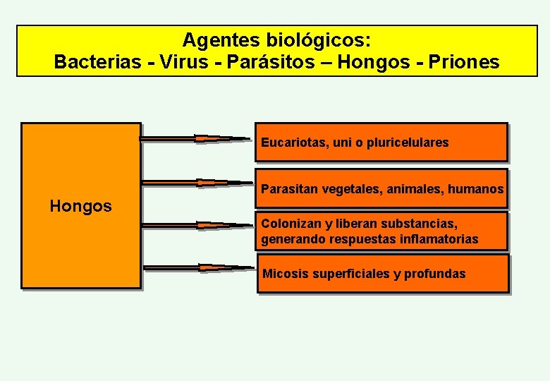 Agentes biológicos: Bacterias - Virus - Parásitos – Hongos - Priones Eucariotas, uni o