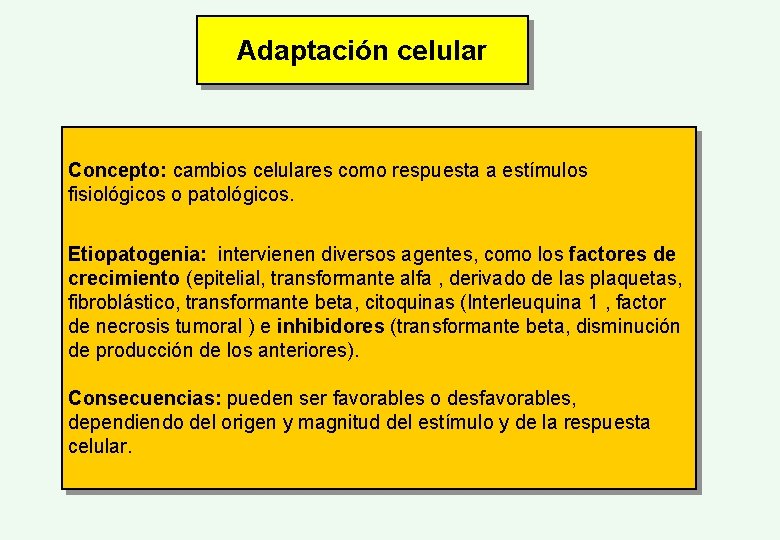 Adaptación celular Concepto: cambios celulares como respuesta a estímulos fisiológicos o patológicos. Etiopatogenia: intervienen