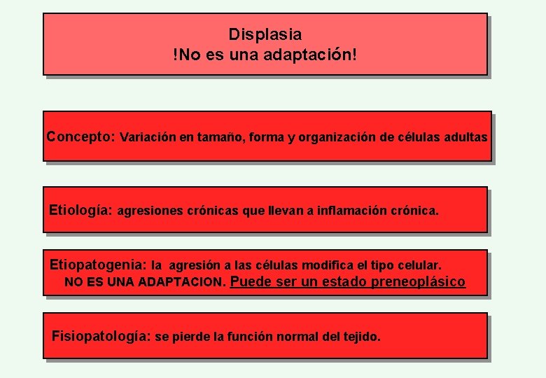 Displasia !No es una adaptación! Concepto: Variación en tamaño, forma y organización de células