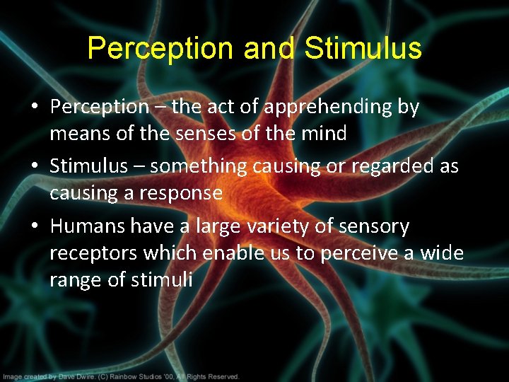 Perception and Stimulus • Perception – the act of apprehending by means of the