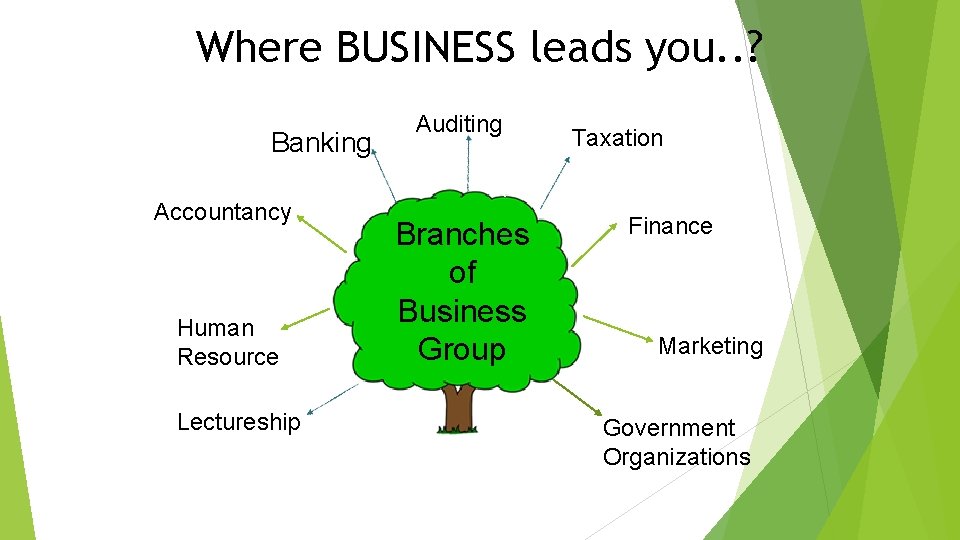 Where BUSINESS leads you. . ? Banking Accountancy Human Resource Lectureship Auditing Branches of