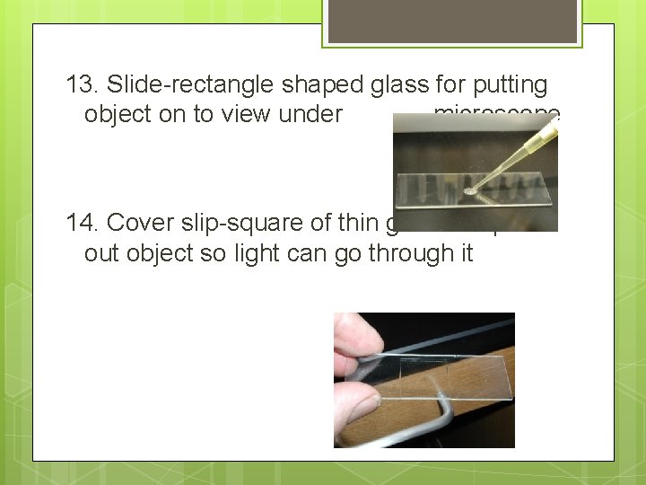 13. Slide-rectangle shaped glass for putting object on to view under microscope 14. Cover