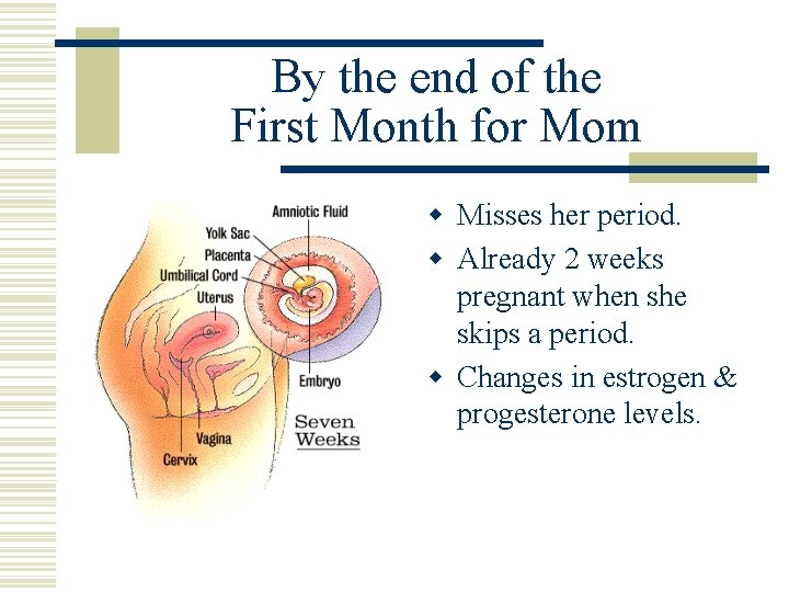 By the end of the First Month for Mom w Misses her period. w