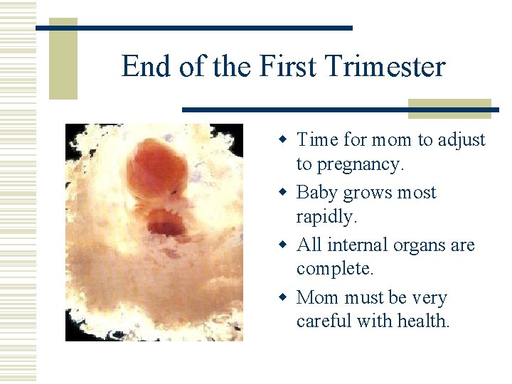 End of the First Trimester w Time for mom to adjust to pregnancy. w