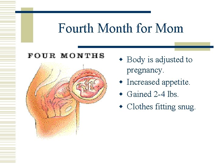 Fourth Month for Mom w Body is adjusted to pregnancy. w Increased appetite. w