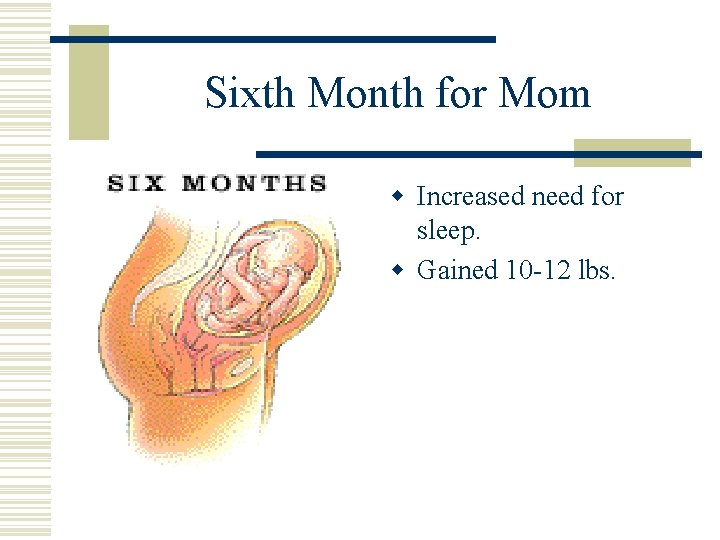 Sixth Month for Mom w Increased need for sleep. w Gained 10 -12 lbs.