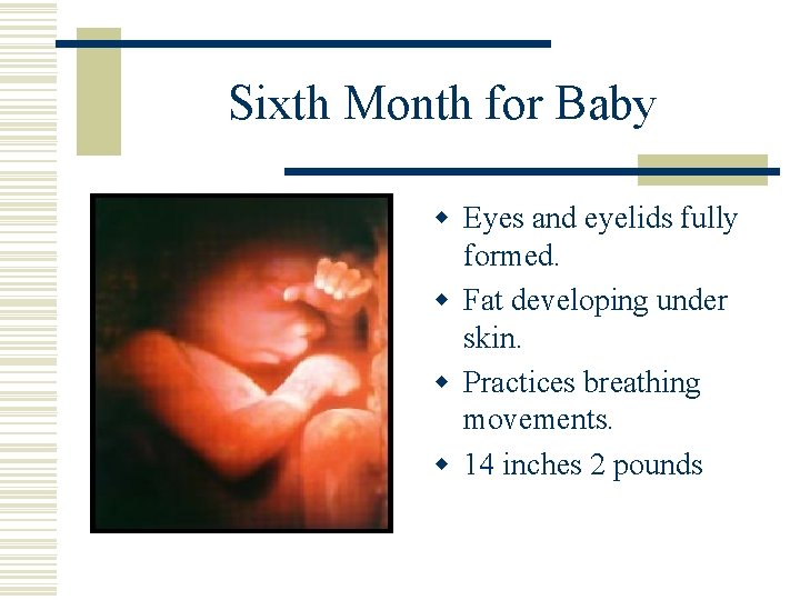 Sixth Month for Baby w Eyes and eyelids fully formed. w Fat developing under
