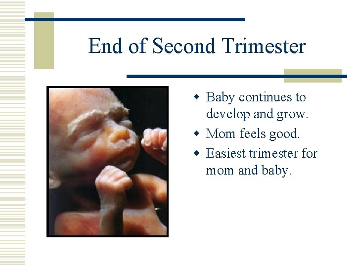 End of Second Trimester w Baby continues to develop and grow. w Mom feels