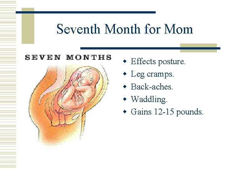 Seventh Month for Mom w w w Effects posture. Leg cramps. Back-aches. Waddling. Gains