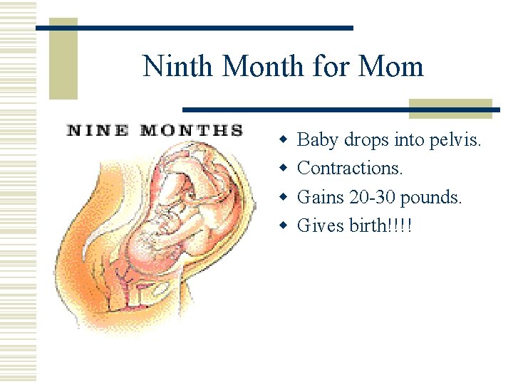 Ninth Month for Mom w w Baby drops into pelvis. Contractions. Gains 20 -30